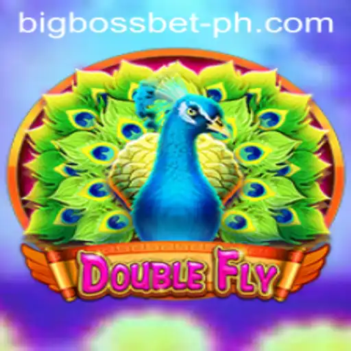 Exploring DoubleFly: The Thrilling World of BigBossBet's Latest Game