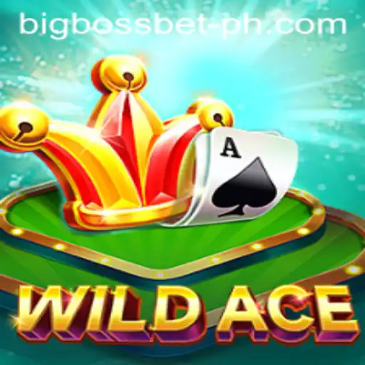 The Thrilling World of WildAce: Engage with BigBossBet